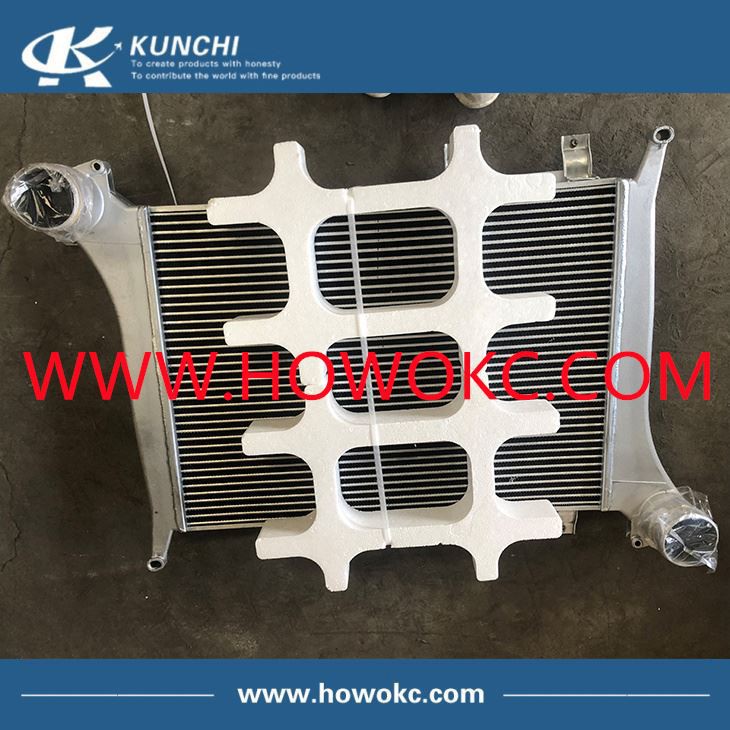Sinotruk HOWO Intercooler WG9719530280